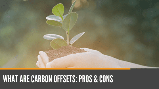 Carbon Offset Pros and Cons