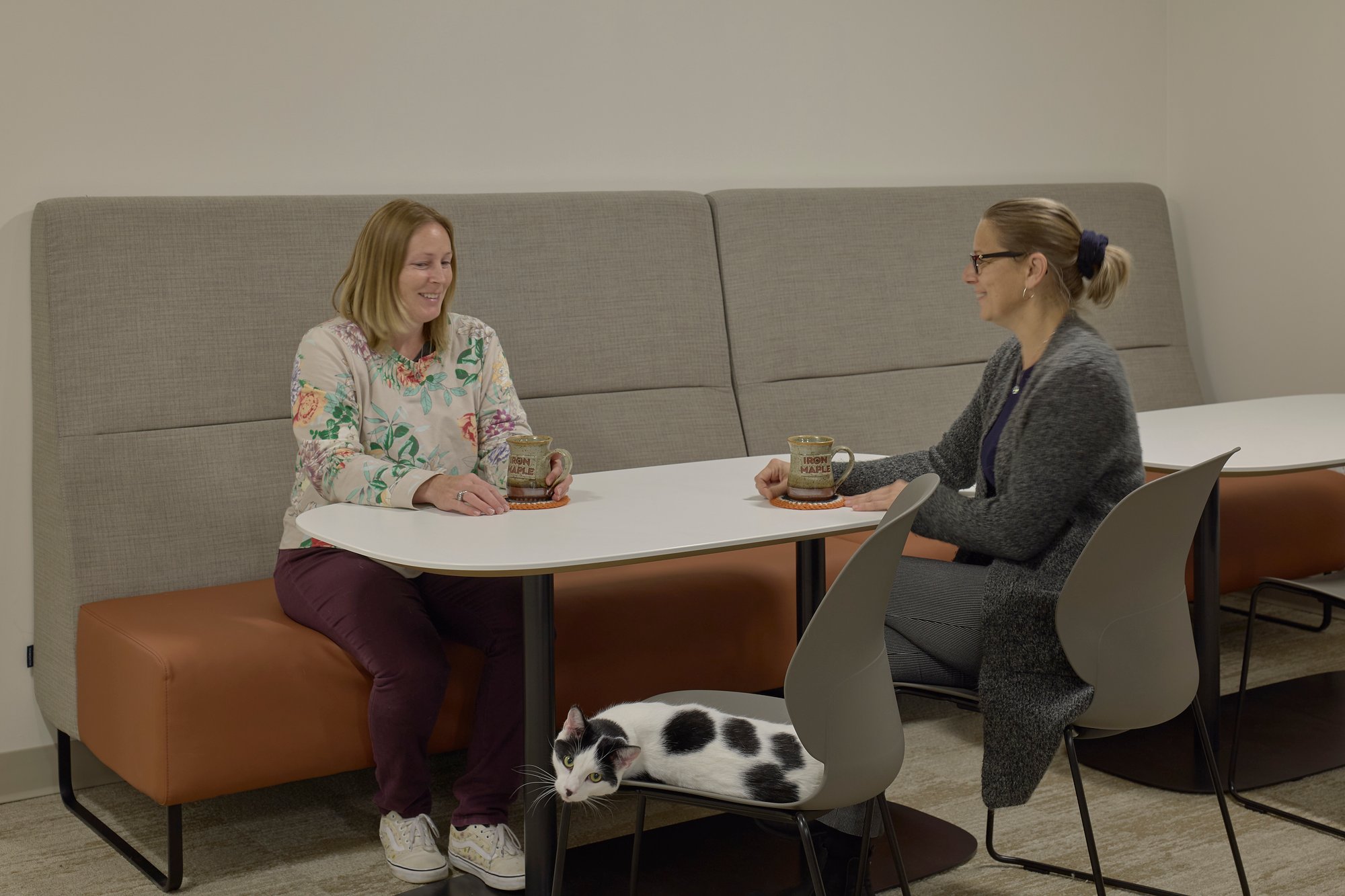 Open collaboration area 