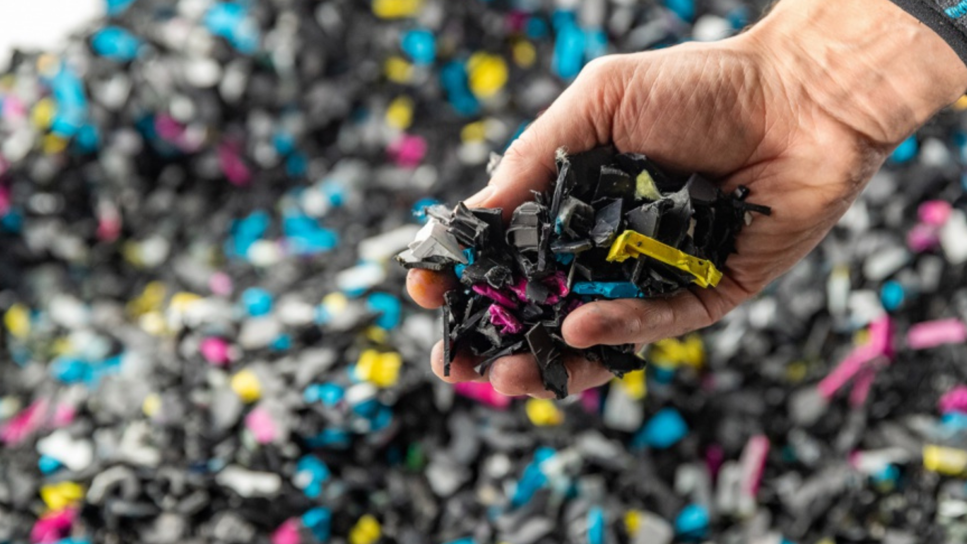 Sustainability Infographics