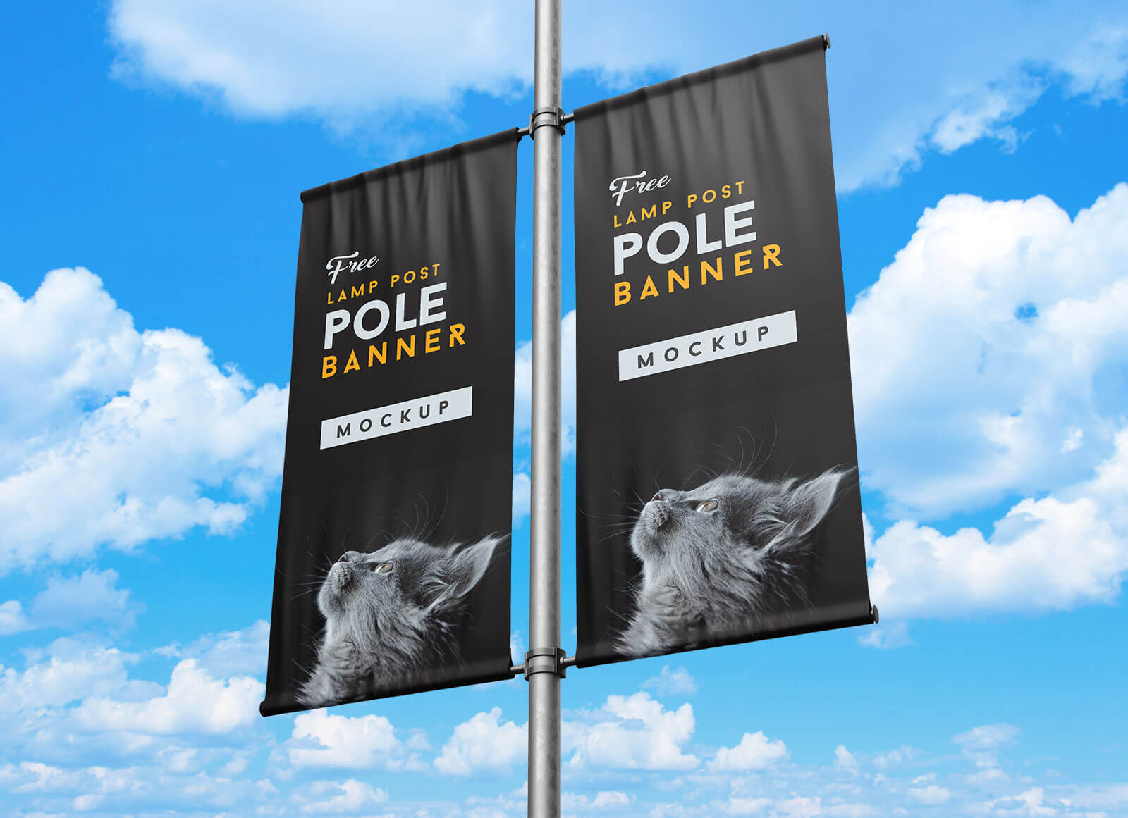 banners print on ricoh production printer