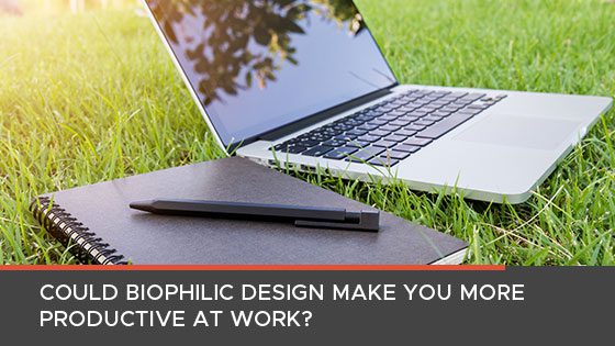 Can Biophilic Design Improve Productivity?